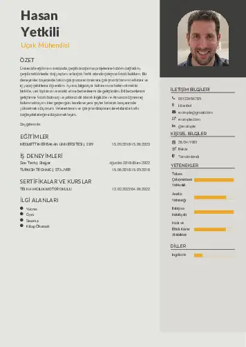 Havacılık Ve Uzay Uçak Mühendisi Cv Örnekleri cv indir